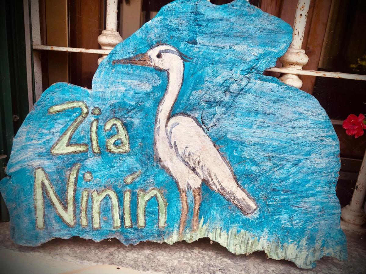 Appartamento Zia Ninin - La Gioia Di Un Tempo! Pavia Dış mekan fotoğraf